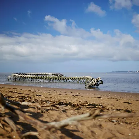 Maison Authentique: Plage, Commerces Et Jardin Cloture - Fr-1-364-33 別荘