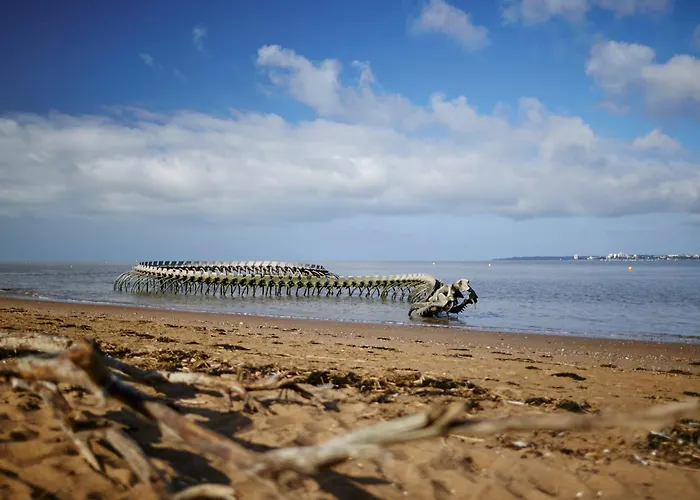 Casa vacanze Maison Authentique: Plage, Commerces Et Jardin Clôturé - Fr-1-364-33 *